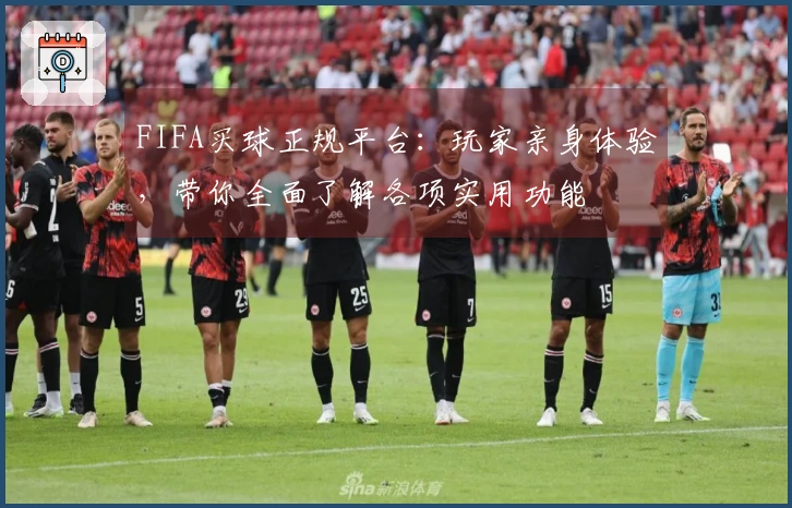 FIFA买球正规平台：玩家亲身体验，带你全面了解各项实用功能