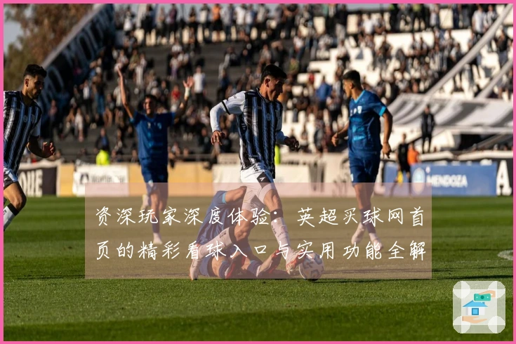 资深玩家深度体验：英超买球网首页的精彩看球入口与实用功能全解析