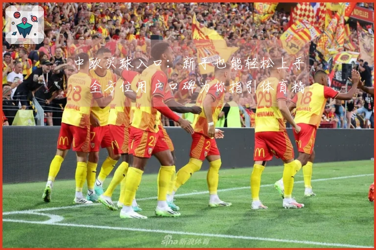 中欧买球入口：新手也能轻松上手，全方位用户口碑为你指引体育精彩