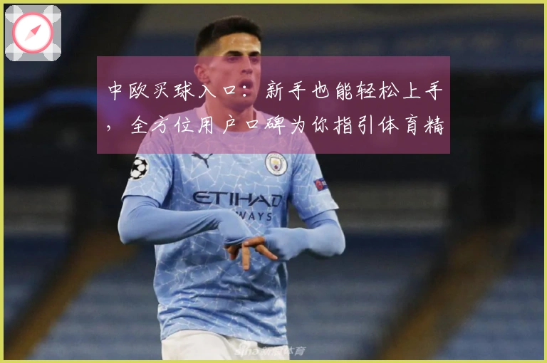 中欧买球入口：新手也能轻松上手，全方位用户口碑为你指引体育精彩