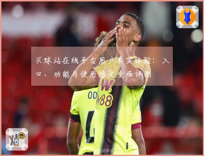 买球站在线平台用户真实体验：入口、功能与使用感受全面评测