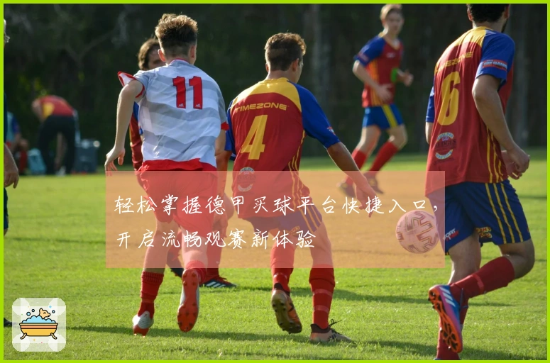 轻松掌握德甲买球平台快捷入口，开启流畅观赛新体验