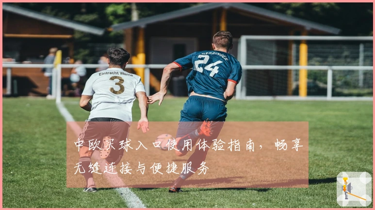 中欧买球入口使用体验指南，畅享无缝连接与便捷服务