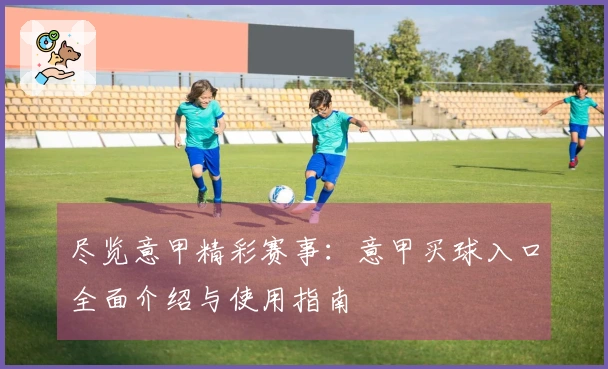 尽览意甲精彩赛事：意甲买球入口全面介绍与使用指南