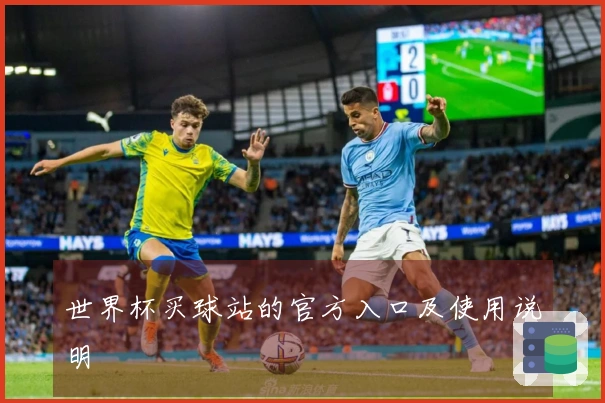 世界杯买球站的官方入口及使用说明