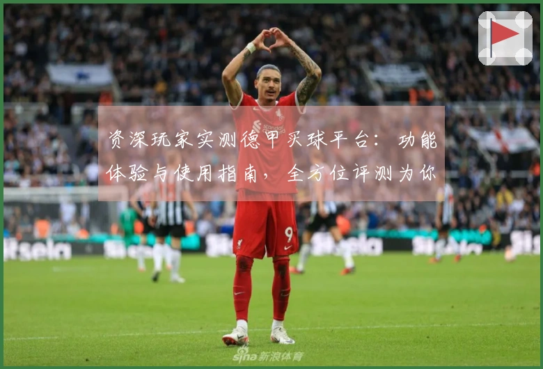资深玩家实测德甲买球平台：功能体验与使用指南，全方位评测为你深度解读