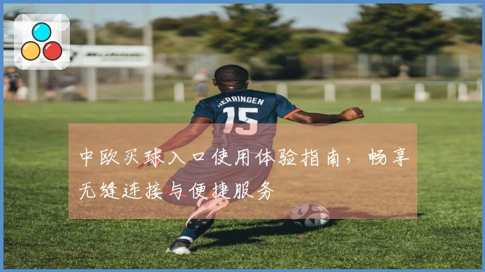中欧买球入口使用体验指南，畅享无缝连接与便捷服务