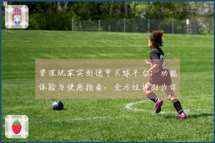 资深玩家实测德甲买球平台：功能体验与使用指南，全方位评测为你深度解读