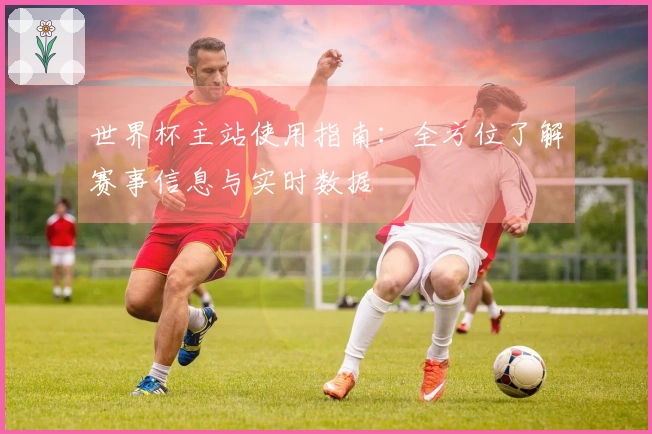 世界杯主站使用指南：全方位了解赛事信息与实时数据